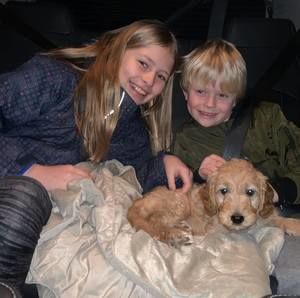 Meet your Posher, Wojciech